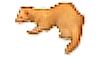 [ferret]